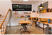 Mogorttini.com